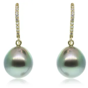 18ct Yellow Gold Tahitian Black Pearl & Diamond Earrings