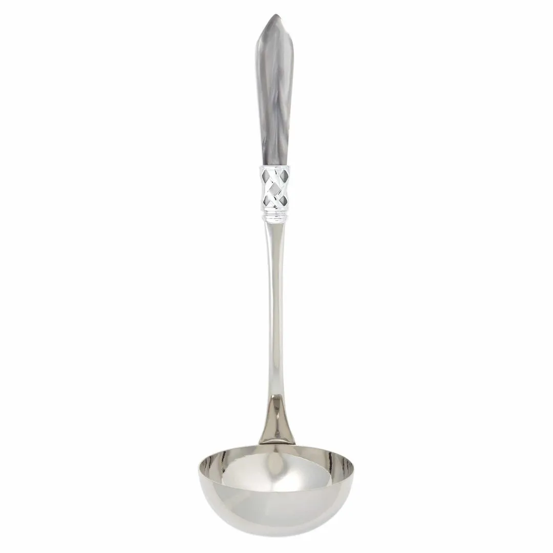 Aladdin Brilliant Soup Ladle