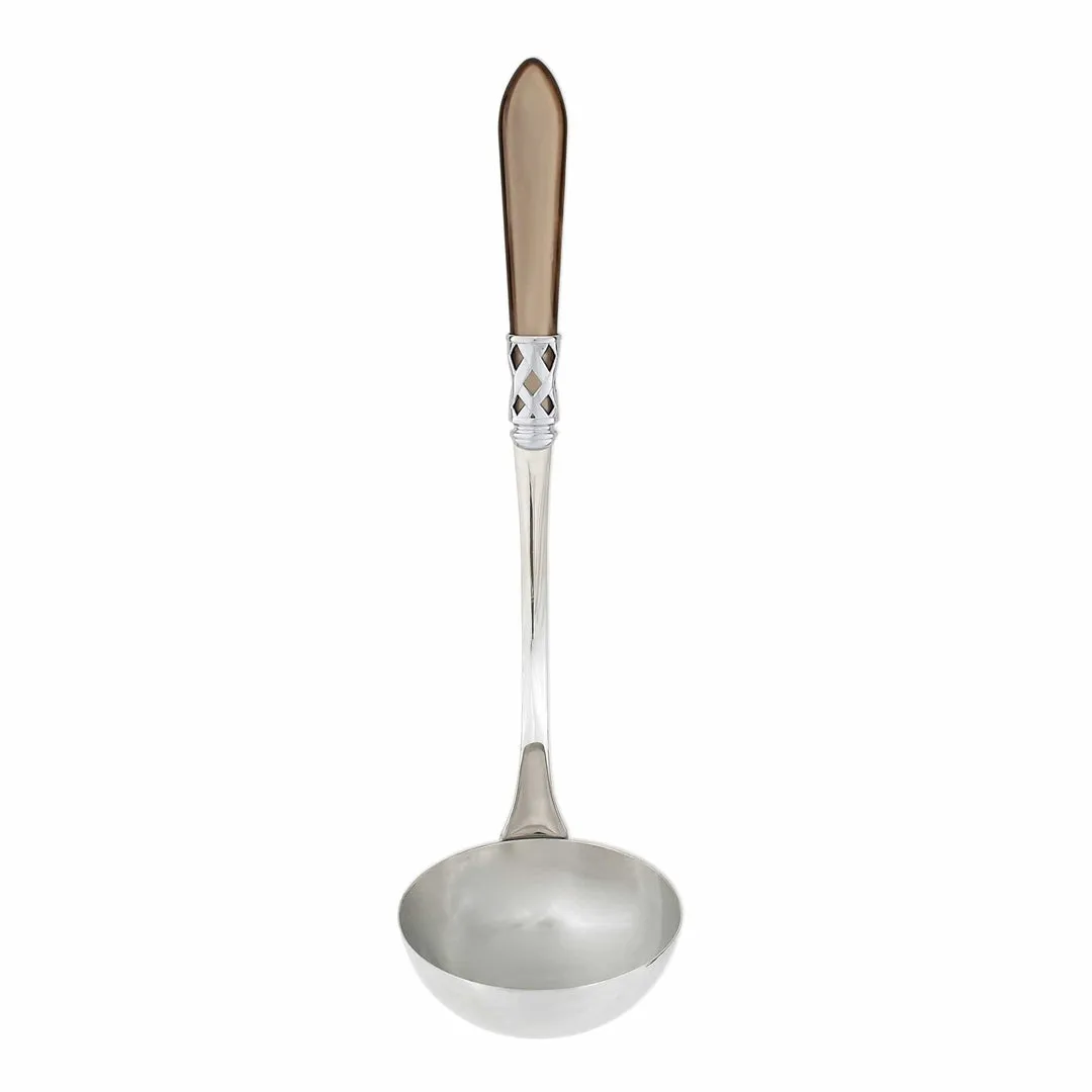 Aladdin Brilliant Soup Ladle