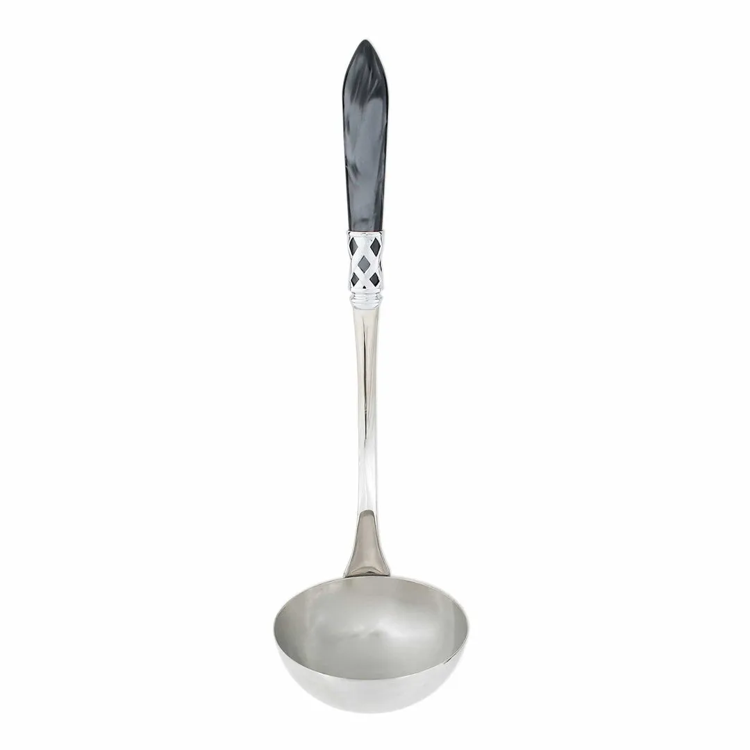 Aladdin Brilliant Soup Ladle