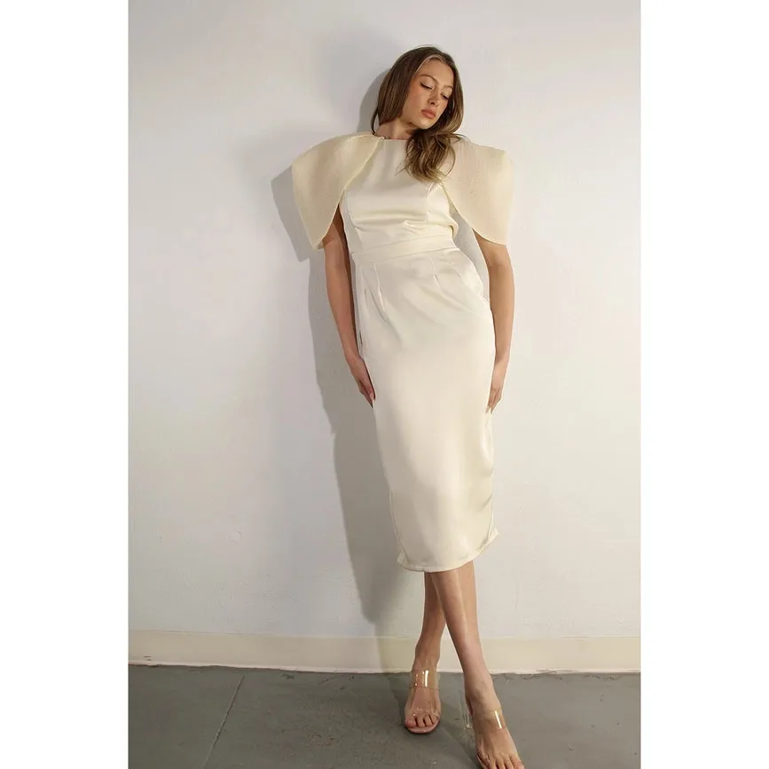Big Sheer Sleeve Midi Dress