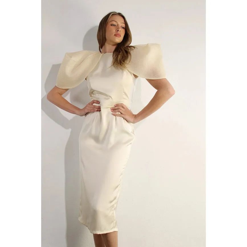 Big Sheer Sleeve Midi Dress