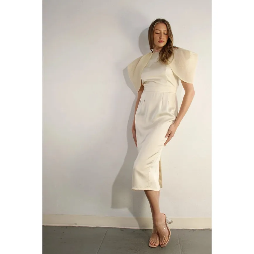Big Sheer Sleeve Midi Dress
