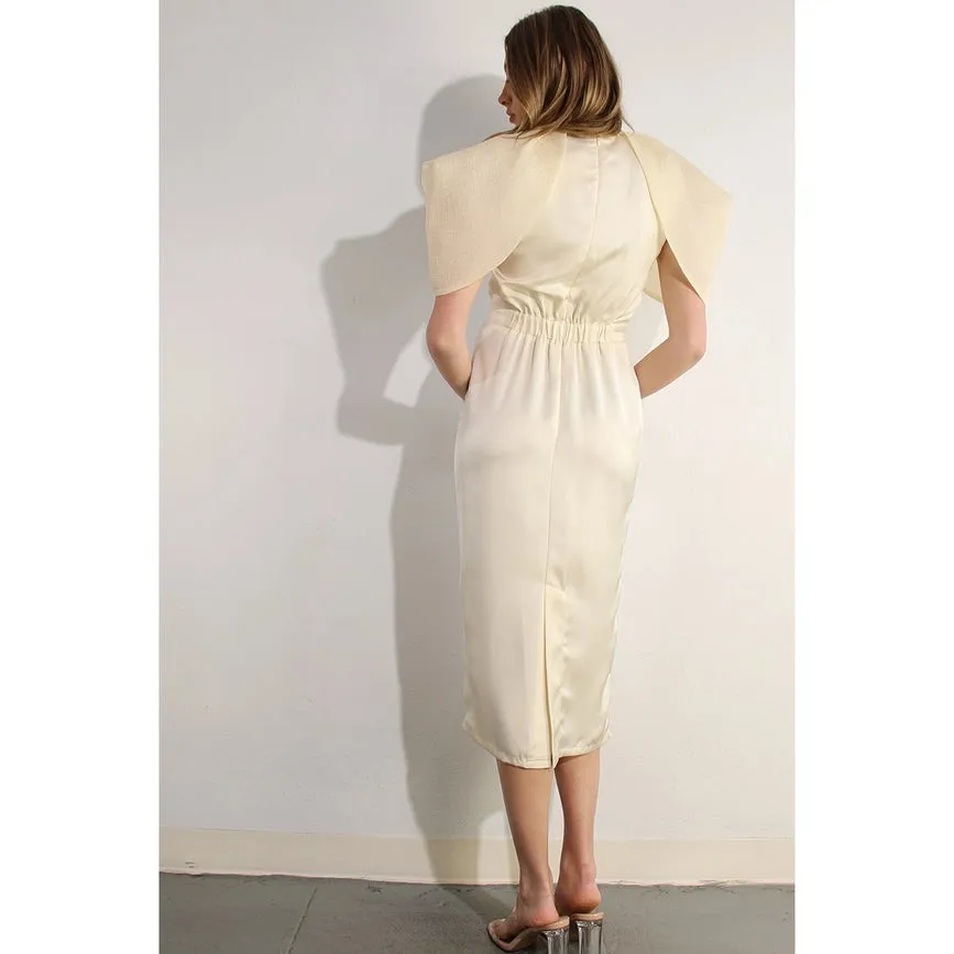 Big Sheer Sleeve Midi Dress
