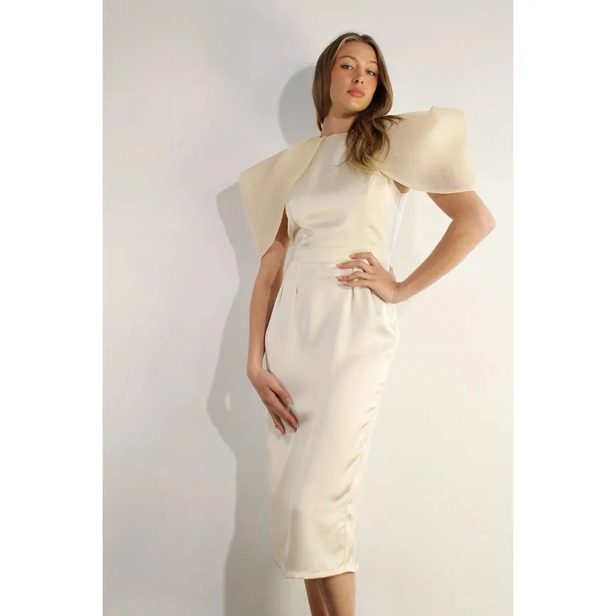 Big Sheer Sleeve Midi Dress