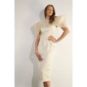Big Sheer Sleeve Midi Dress
