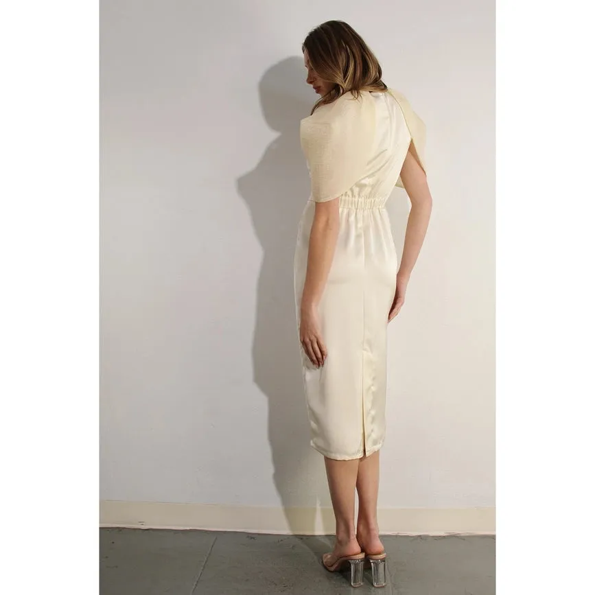 Big Sheer Sleeve Midi Dress