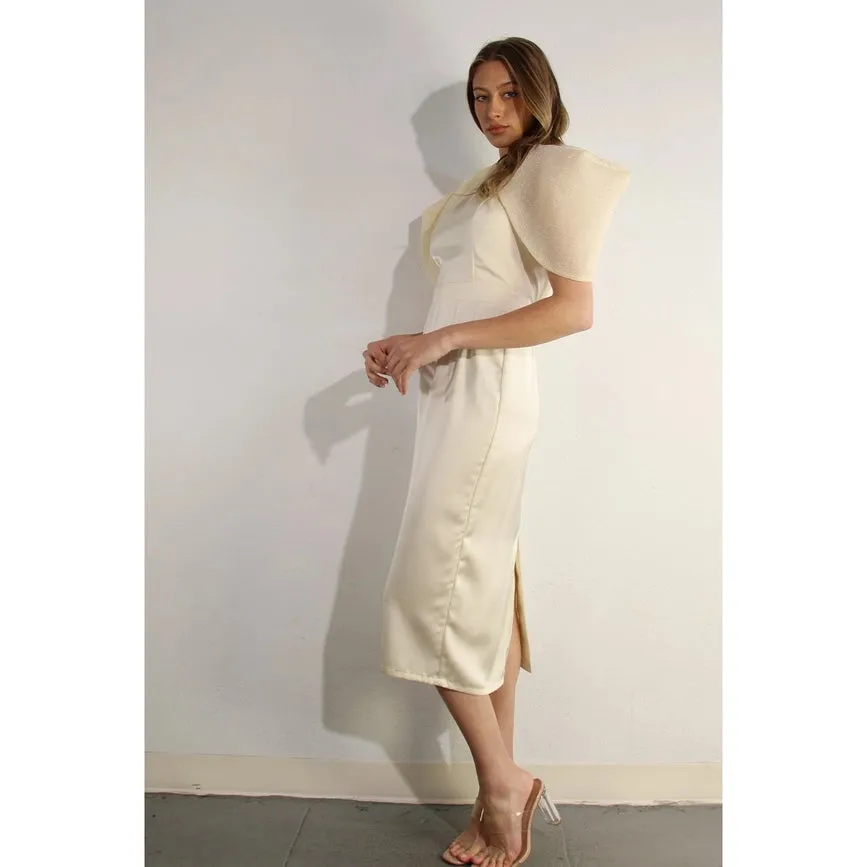 Big Sheer Sleeve Midi Dress