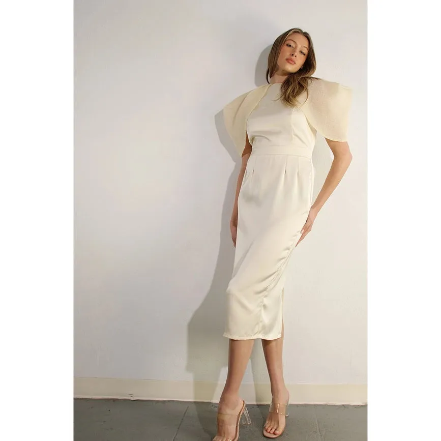 Big Sheer Sleeve Midi Dress