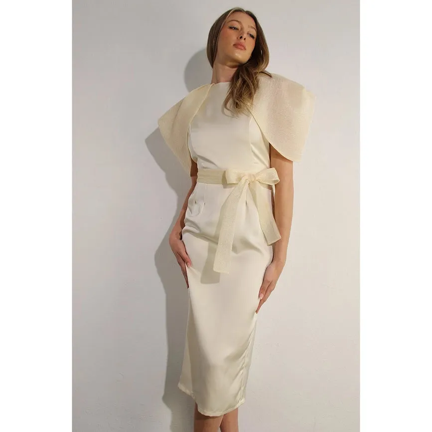 Big Sheer Sleeve Midi Dress