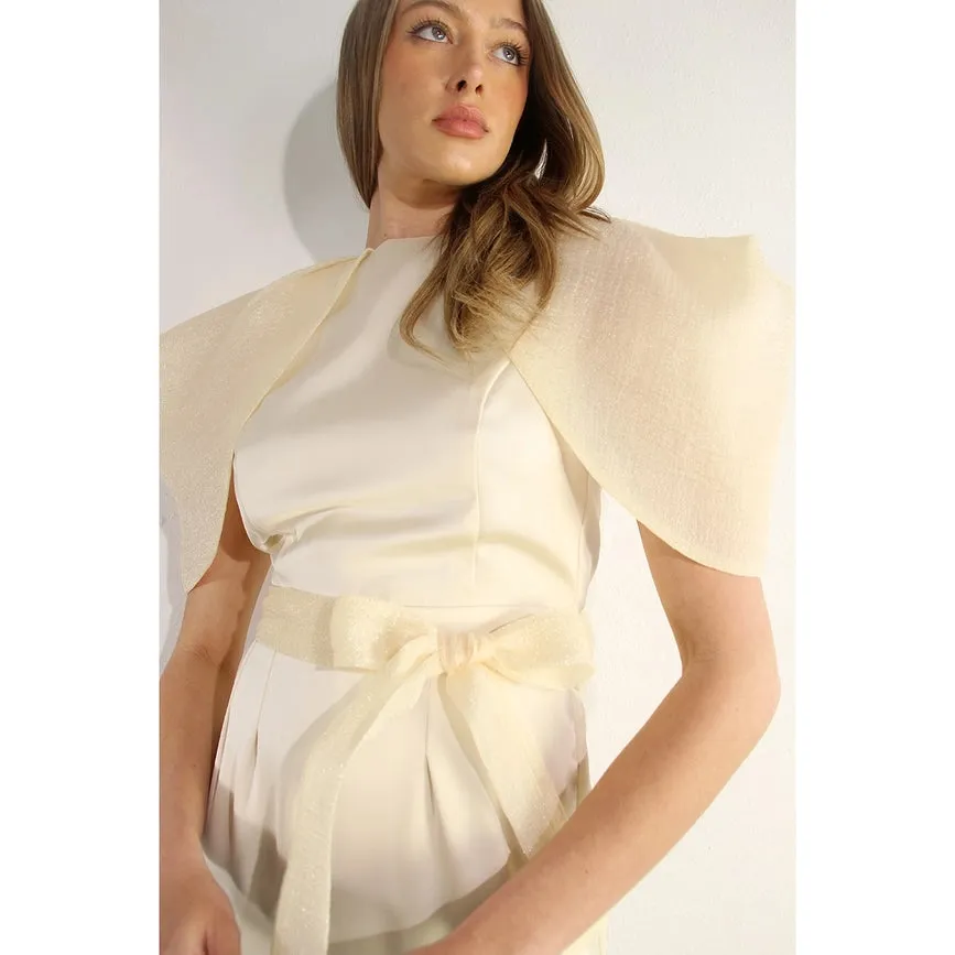 Big Sheer Sleeve Midi Dress