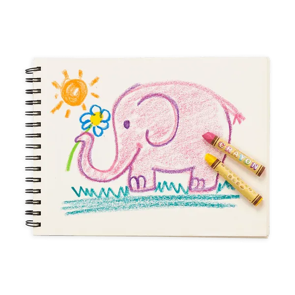 Brilliant Bee Crayons - Set of 12