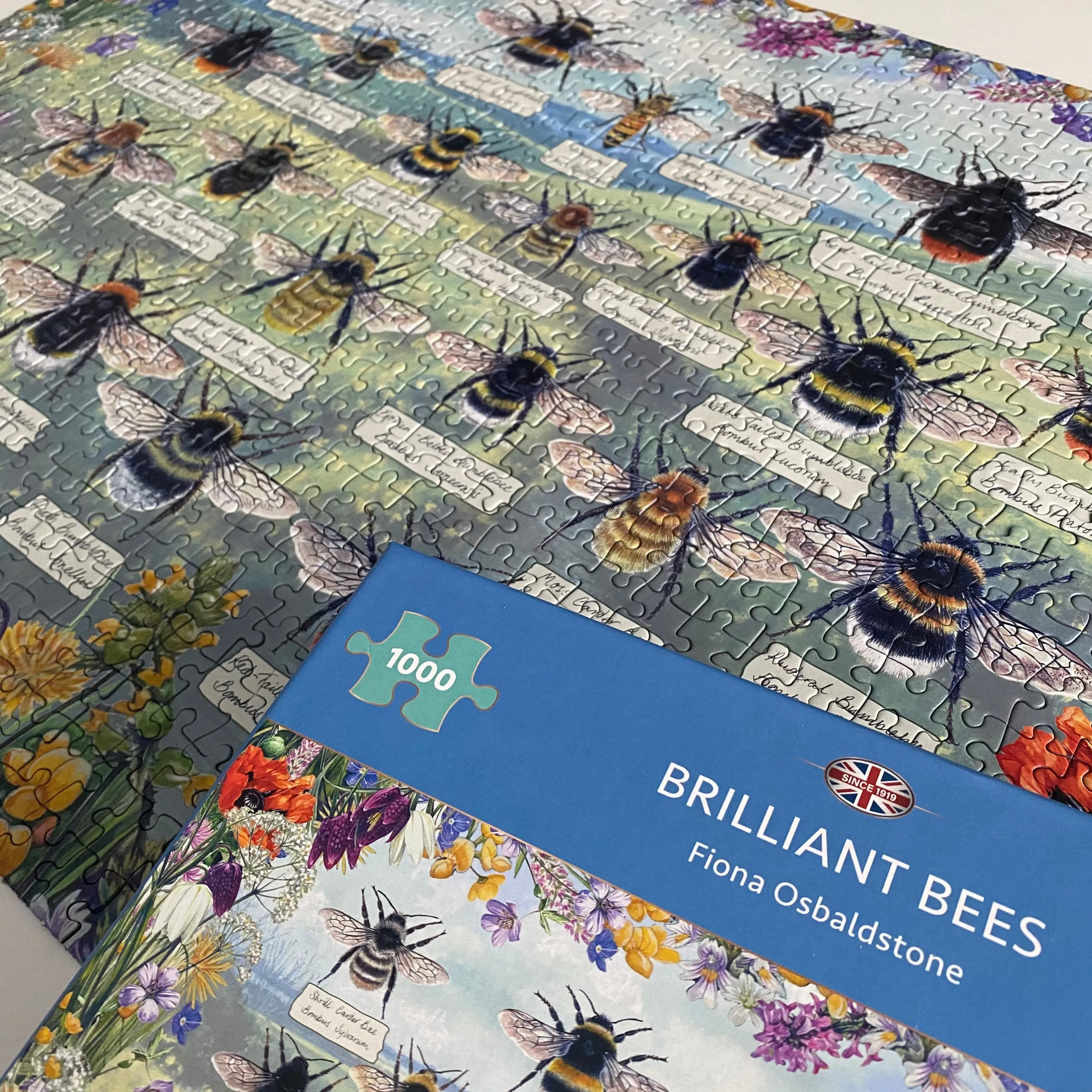 Brilliant Bees
