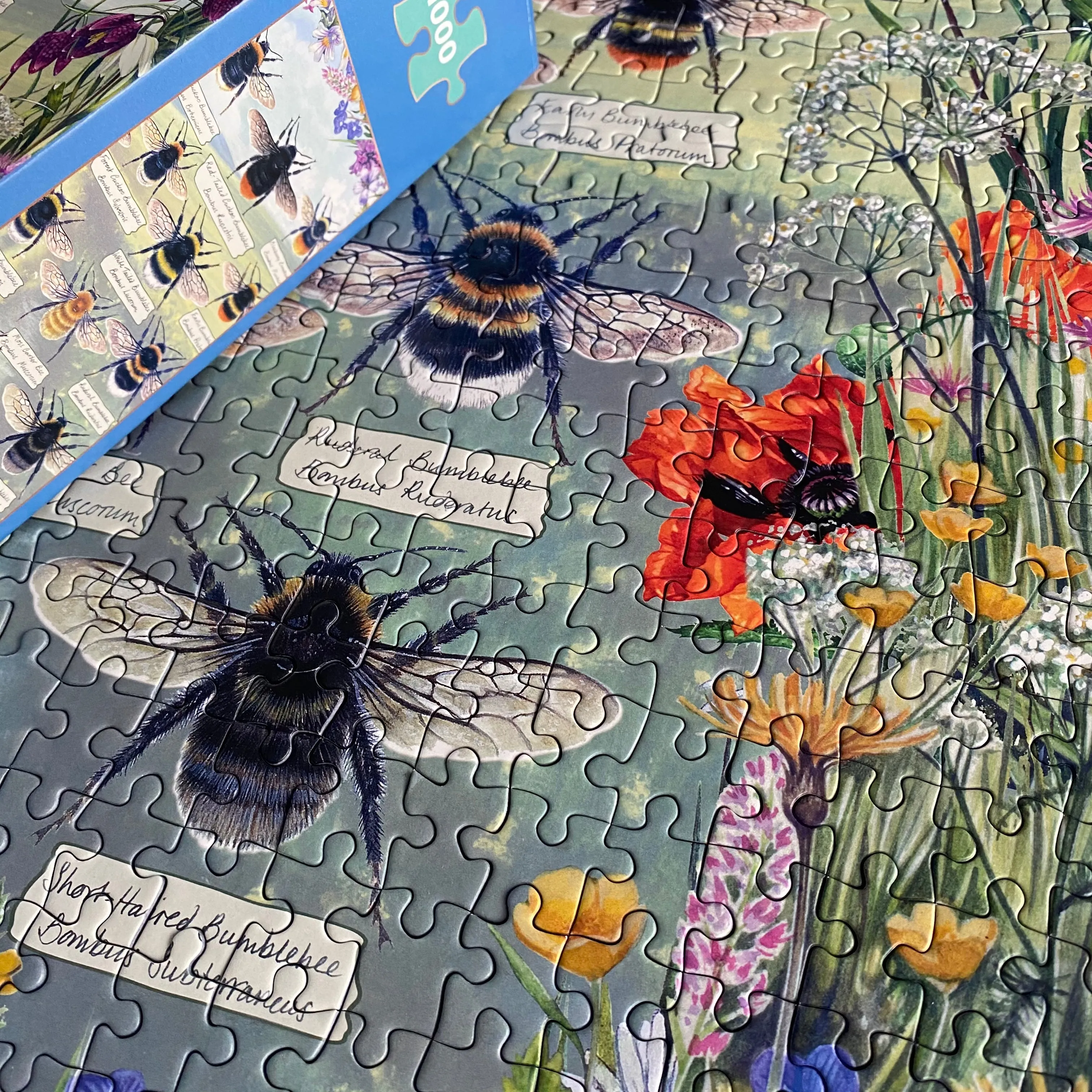 Brilliant Bees