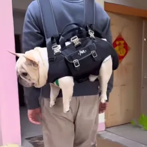 CarryPaw Frenchie Side Carry Backpack – Portable Lightweight and Secure Pet Carrier Bag
