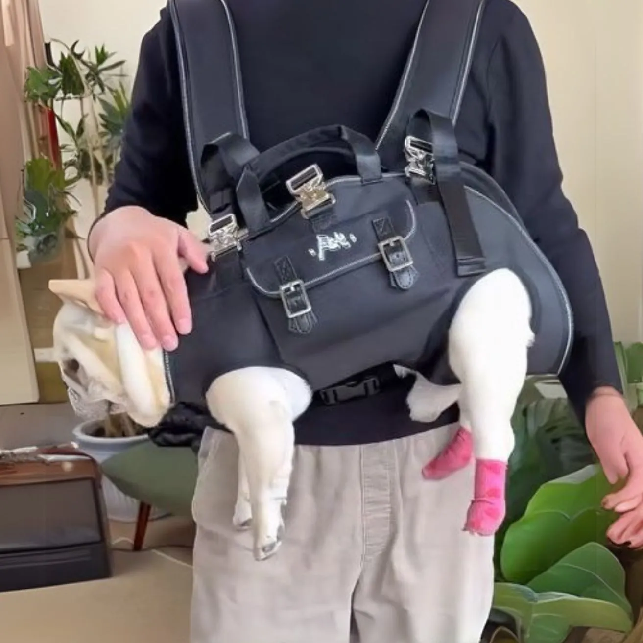 CarryPaw Frenchie Side Carry Backpack – Portable Lightweight and Secure Pet Carrier Bag