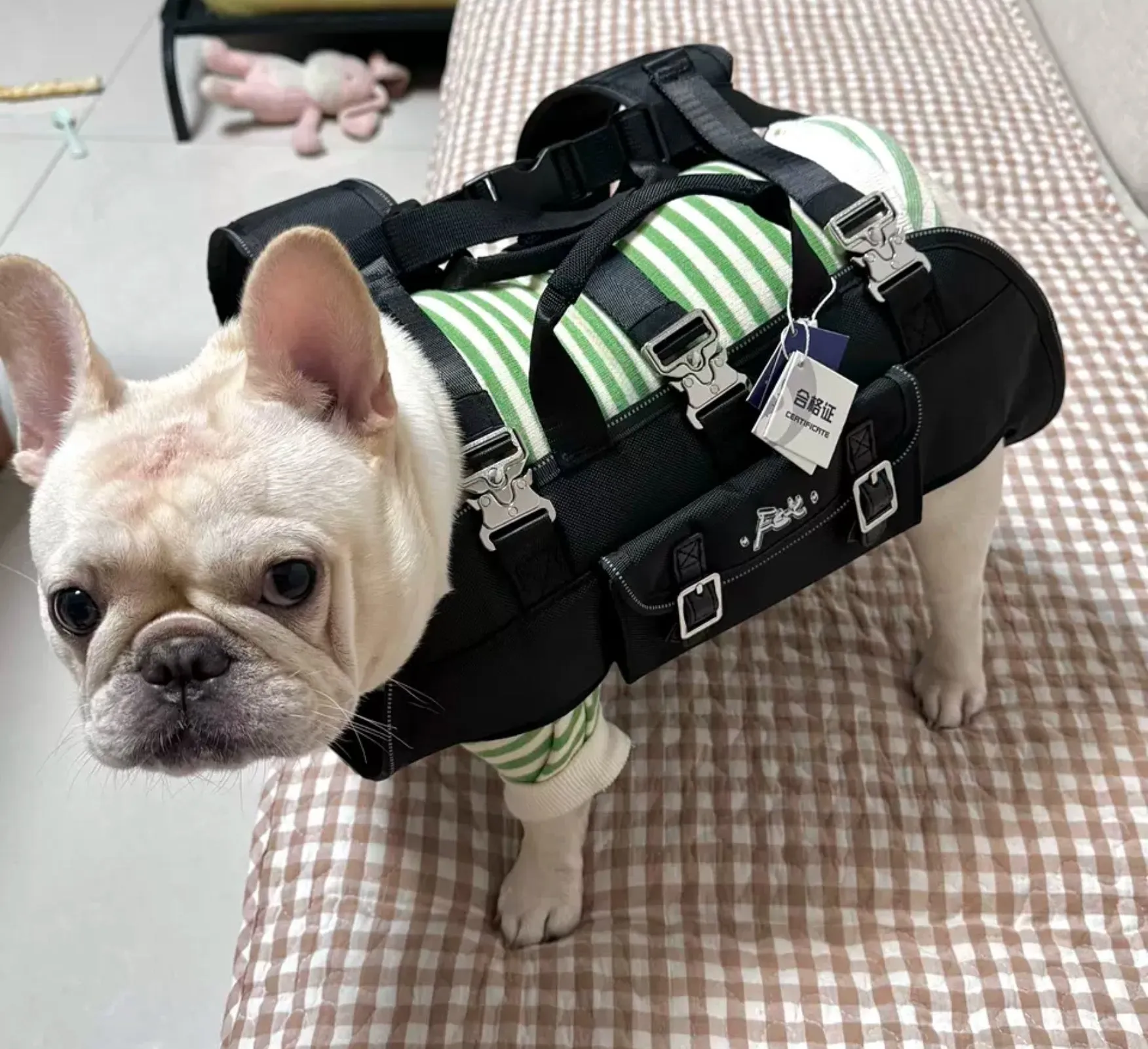 CarryPaw Frenchie Side Carry Backpack – Portable Lightweight and Secure Pet Carrier Bag