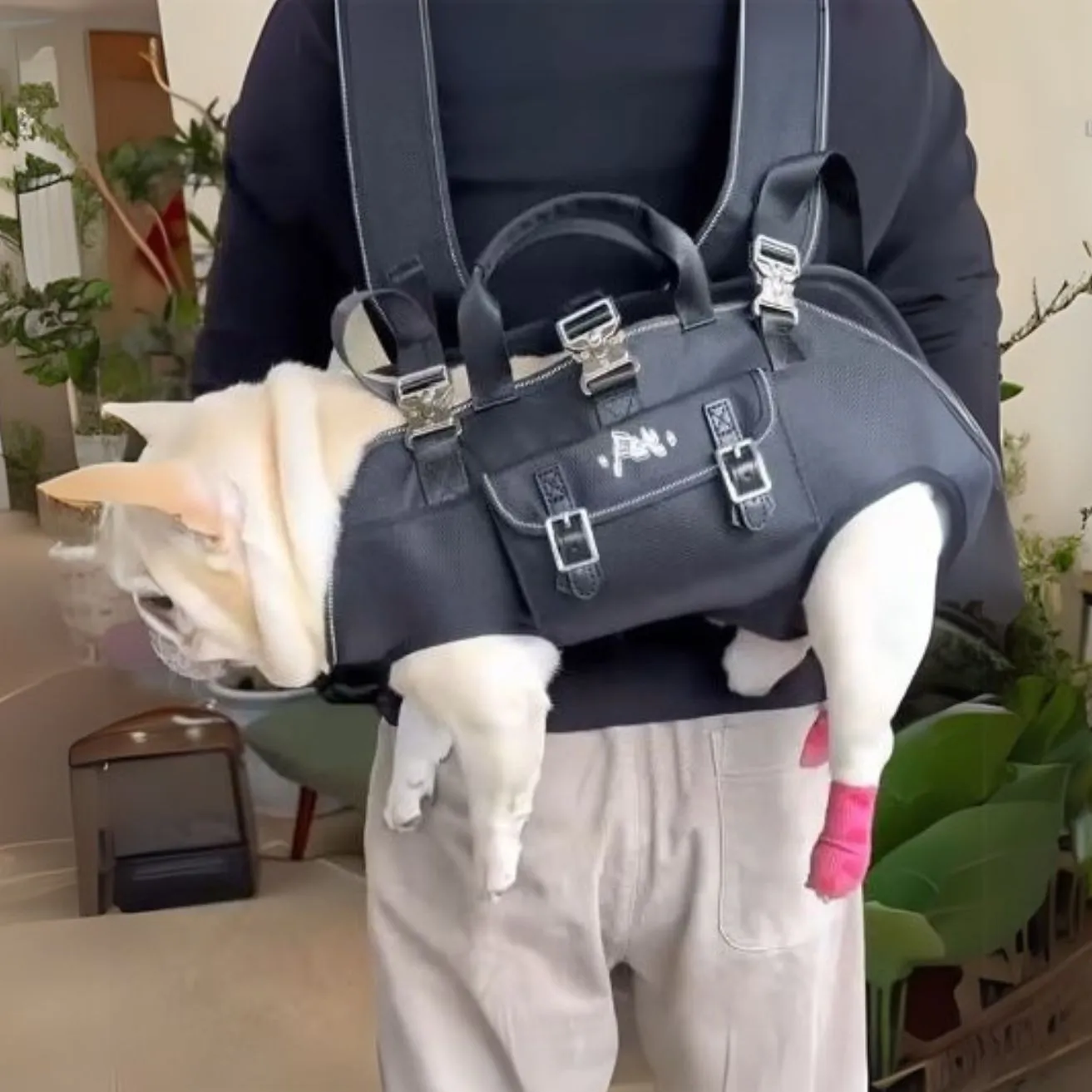 CarryPaw Frenchie Side Carry Backpack – Portable Lightweight and Secure Pet Carrier Bag
