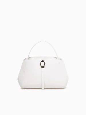 Coccinellechara Brilliant White