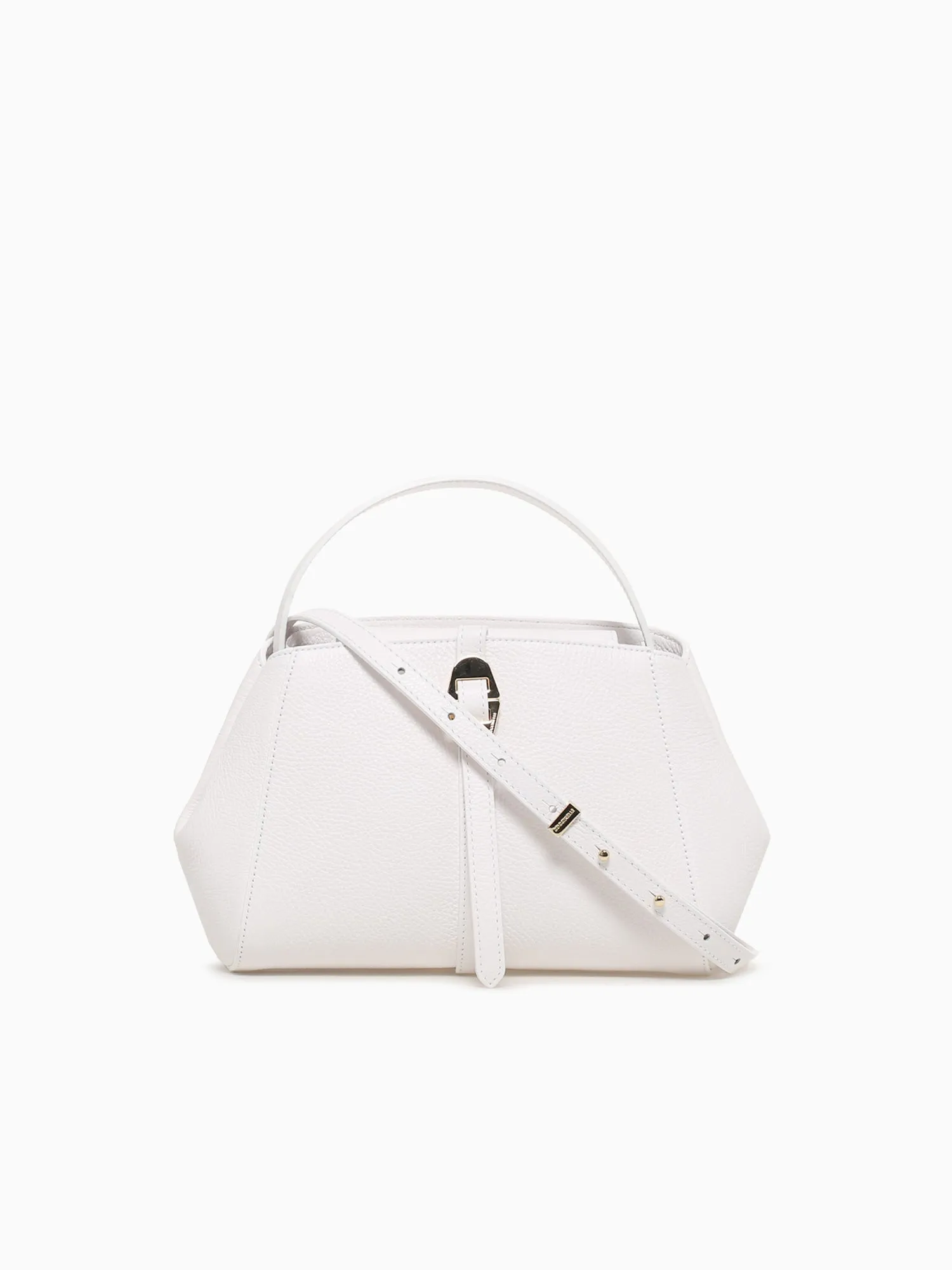 Coccinellechara Brilliant White