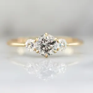 Empress Salt & Pepper Round Brilliant Cut Diamond Ring