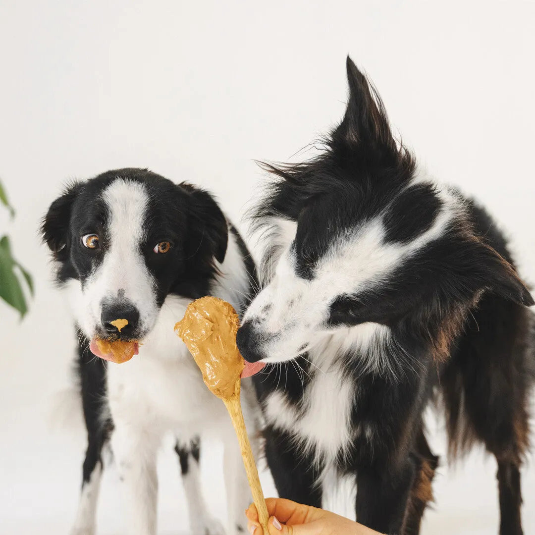 Gizzls - Brain Booster Dog Treats