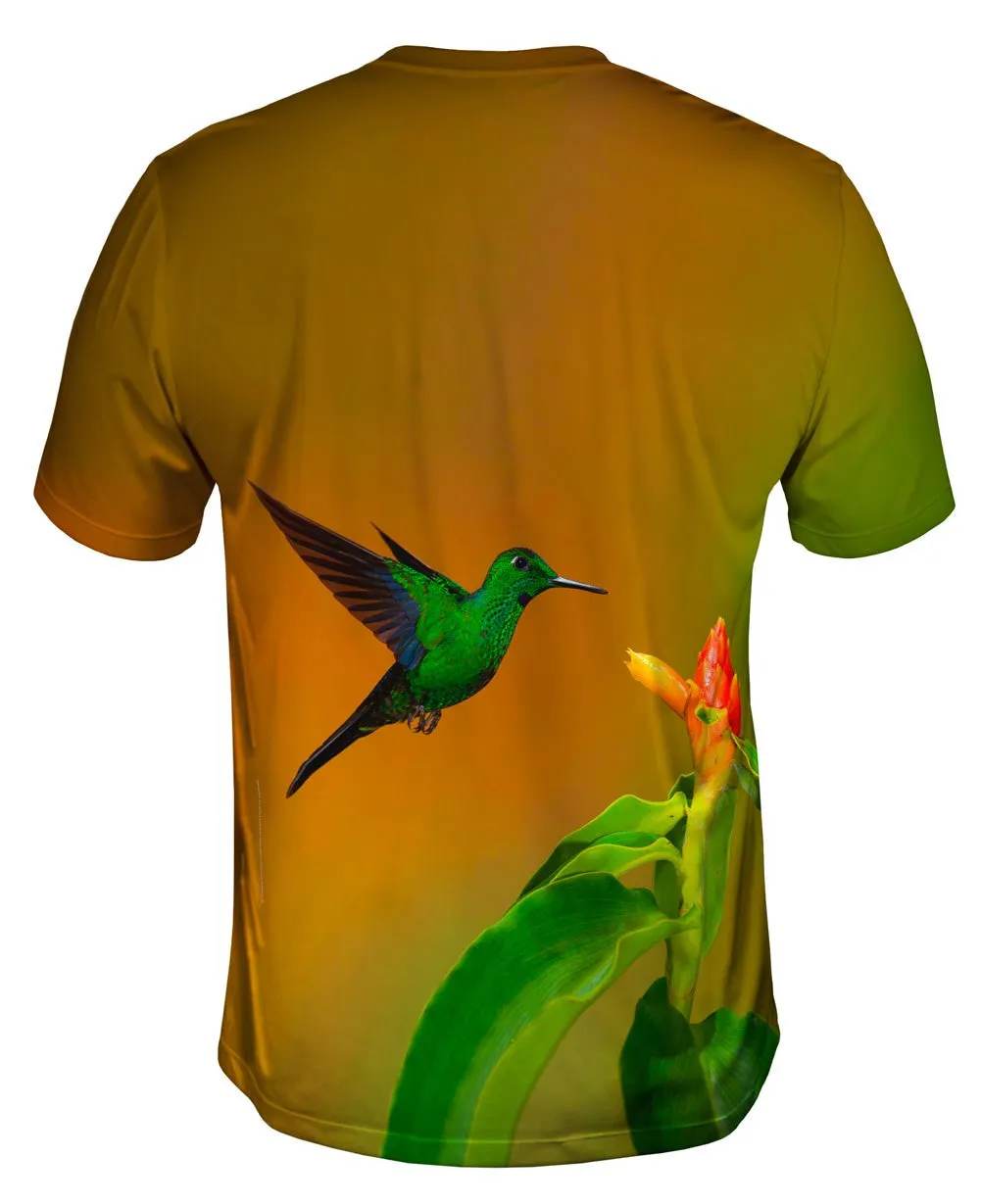 Green Crowned Brilliant