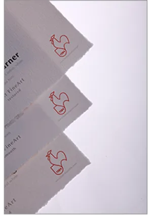 Hahnemuhle - WilliamTurner 310 gsm, DeckleEdge 13"x19", 25 sheets (Special Order)