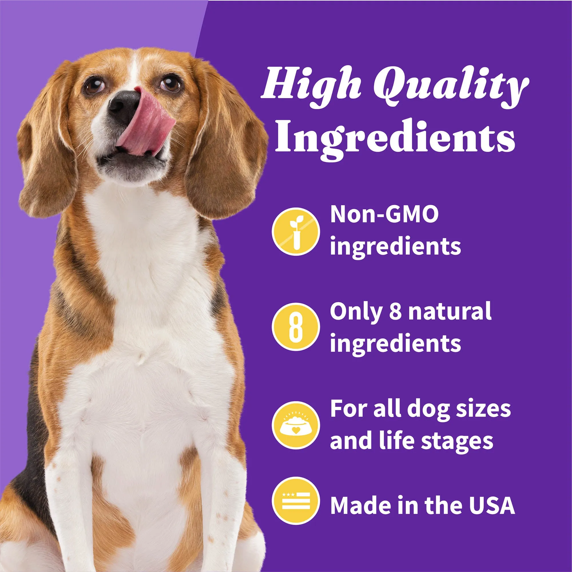 Holistic Plant Based with Peanut Butter & Banana Dog Biscuits 8 oz