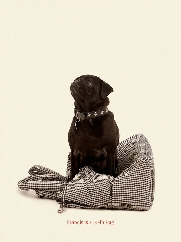 Little Beast Carrier - Noir