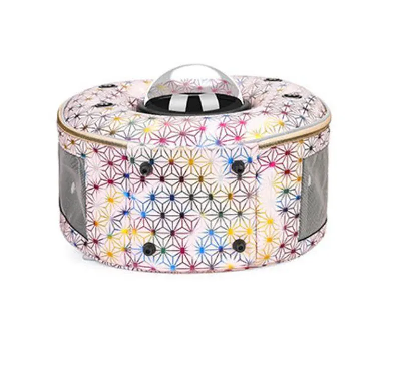 New personality breathable pet backpack