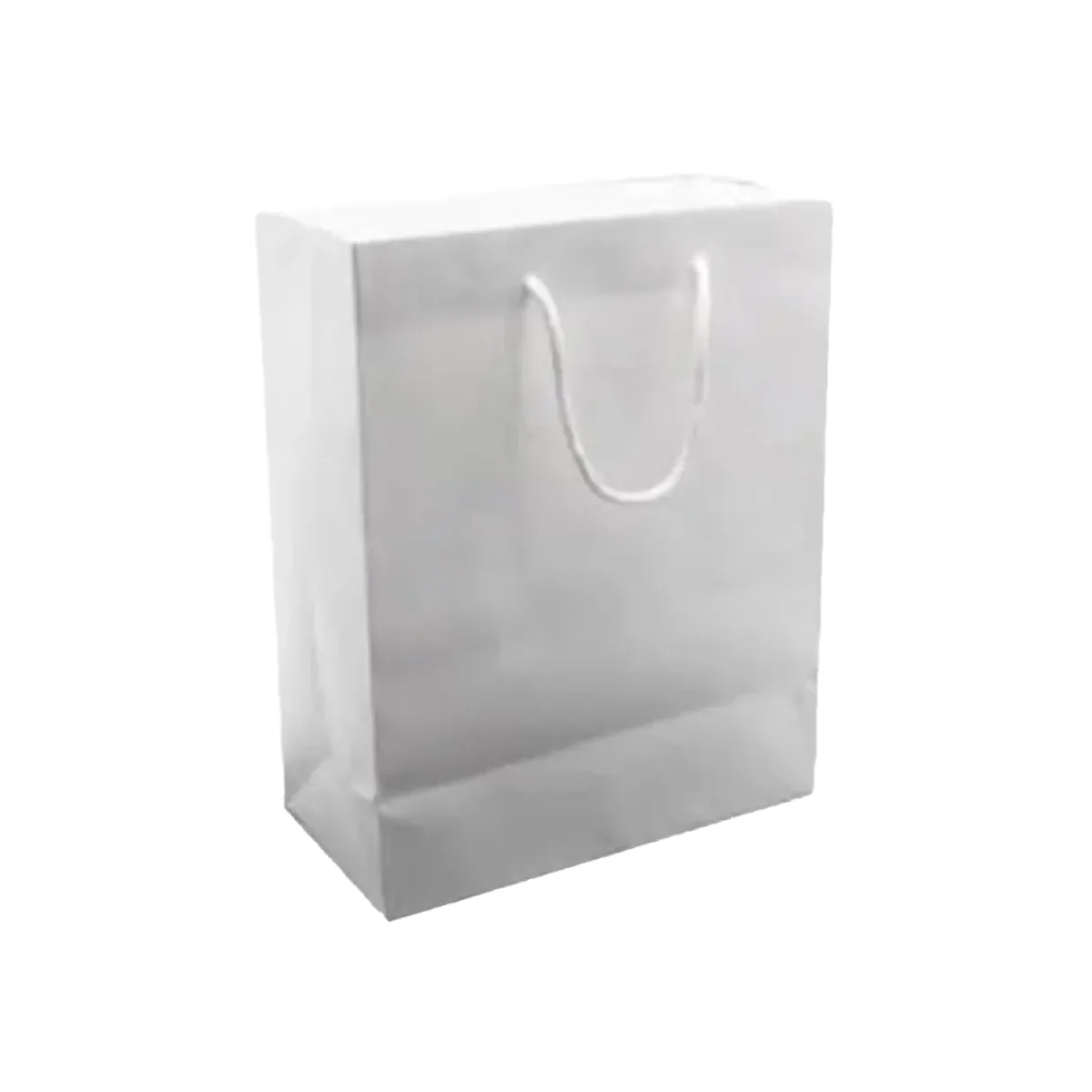 Paper Gift Bag, White
