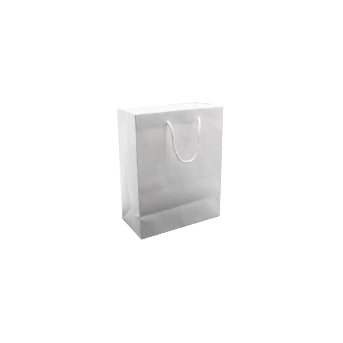 Paper Gift Bag, White
