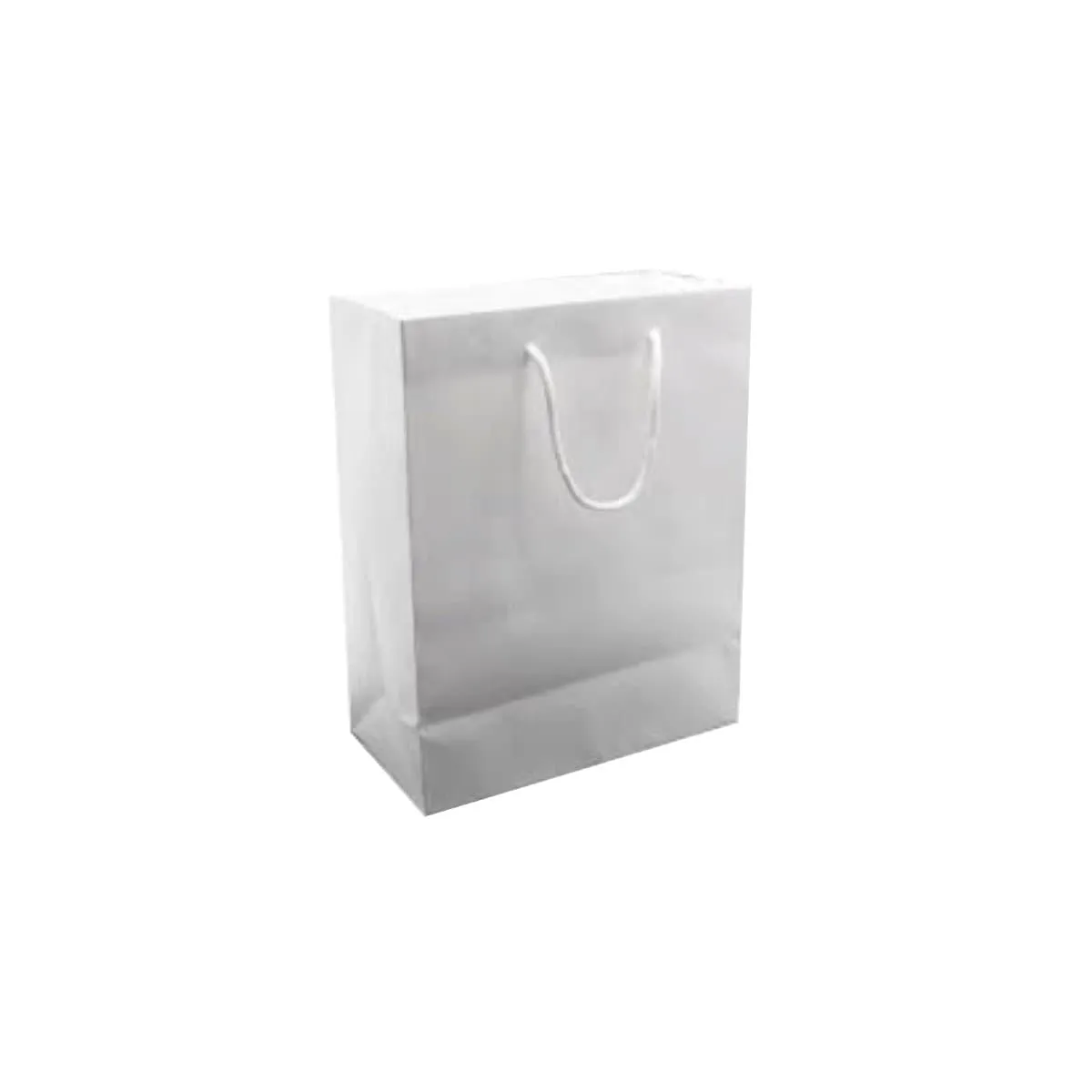 Paper Gift Bag, White