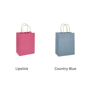 PMRT 8 x 10 Stripe Gift Bag