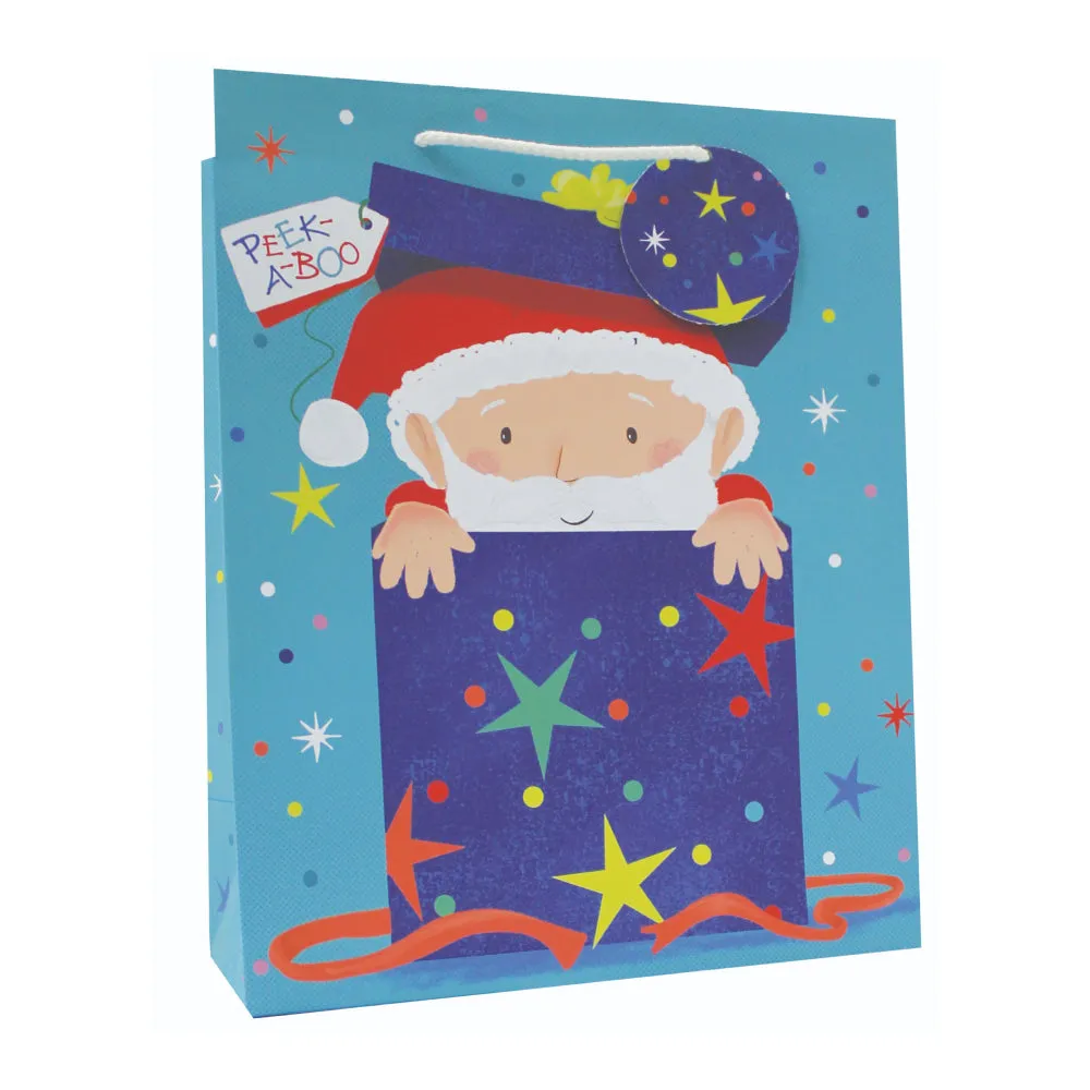 Printed Gift Bag Large