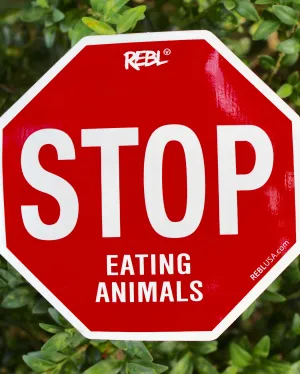Sticker - STOP Eating Animals