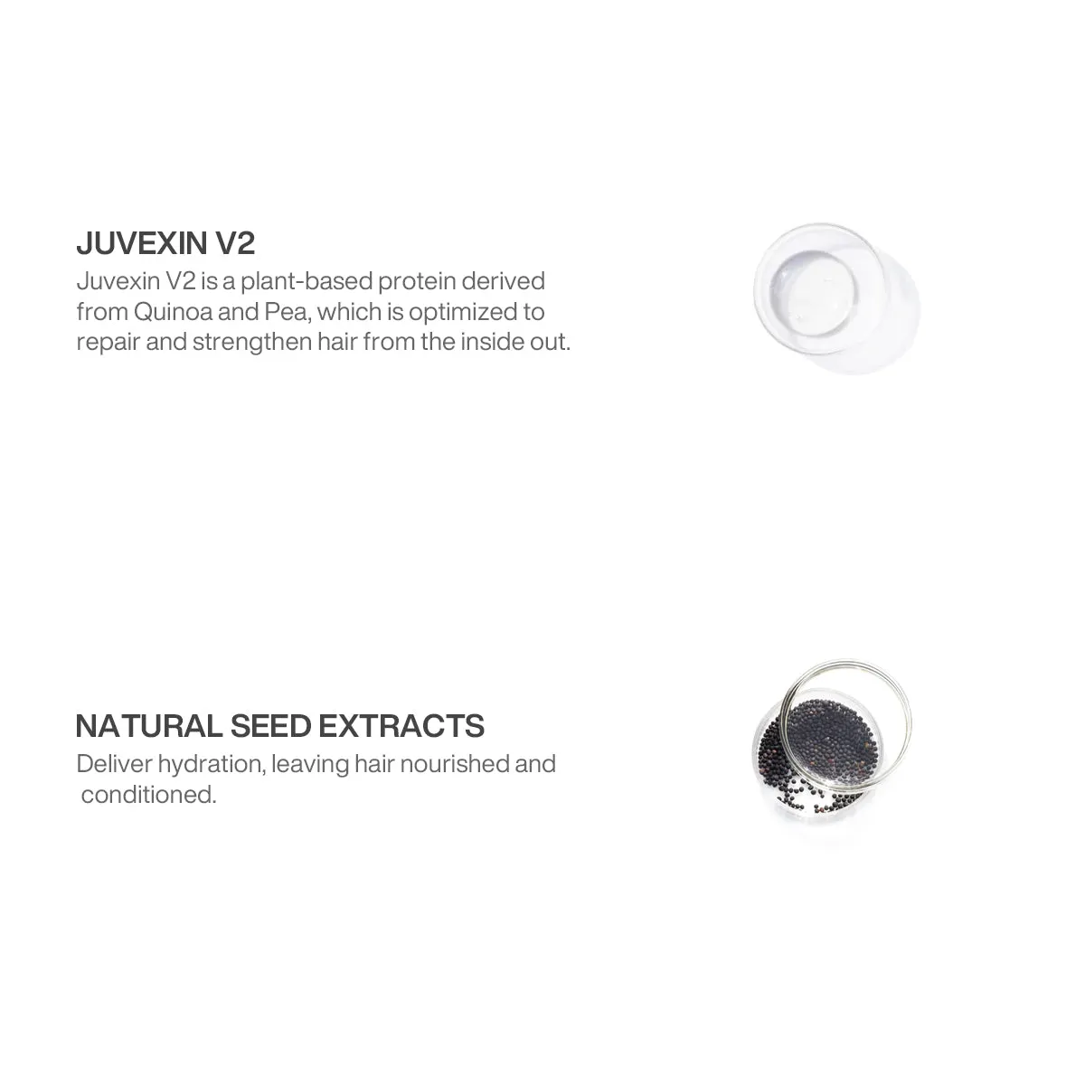 The Best & Vegan Bundle