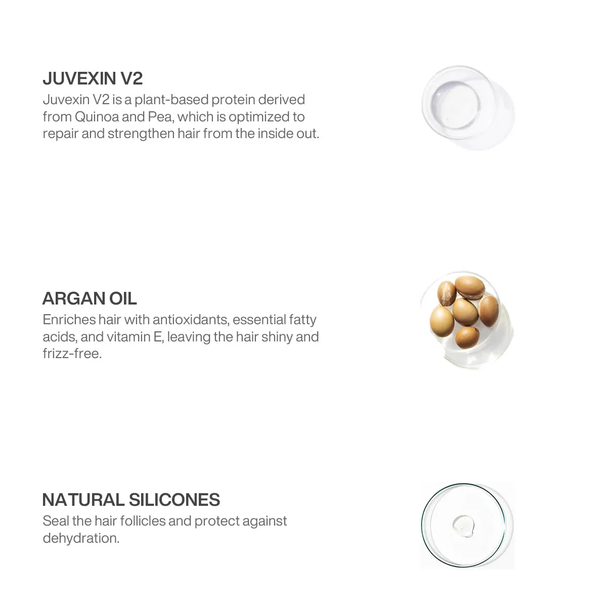 Vegan Duo & Serum Deal